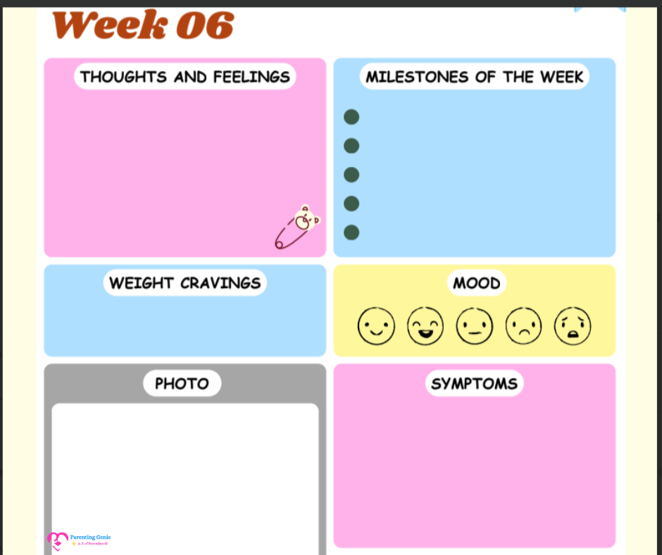 Week by Week Pregnancy Journal
