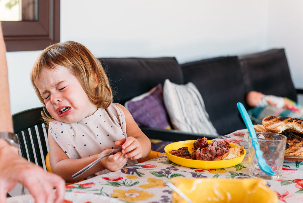 Fussy Eater Toddler!